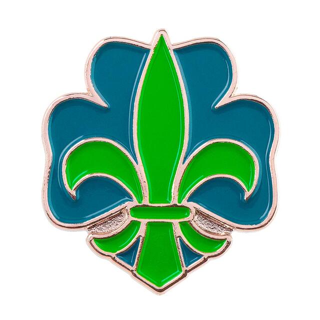 Pins NSF Logopins 