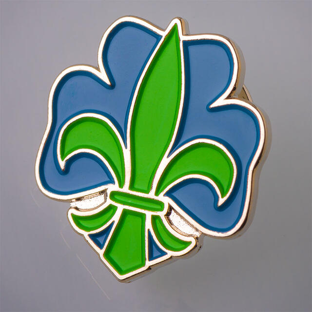 Pins NSF Logopins