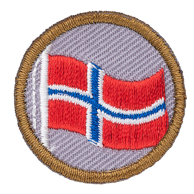 Flagg NSF Fordypning Flagg Bever 