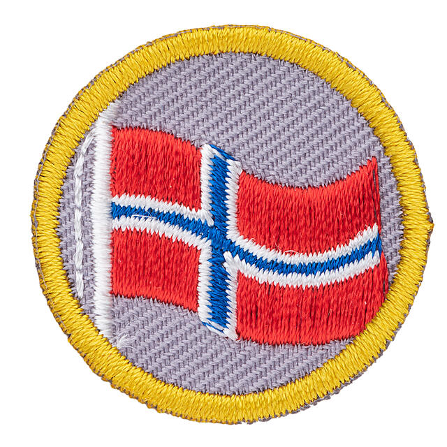 Flagg NSF Fordypning Flagg Flokk 