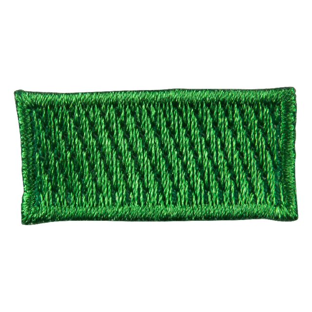 Lederstripe leder i enhet NSF Lederstripe Leder i enhet grønn