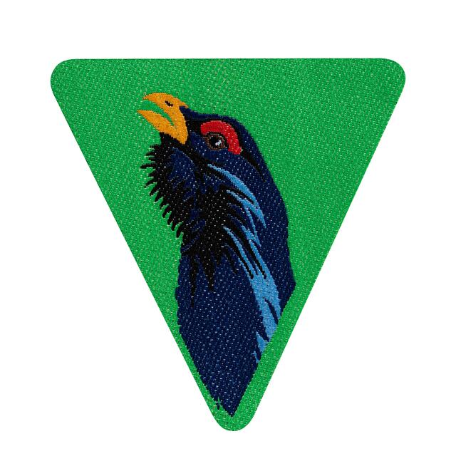 Patrulje Tiur Nsf Patrulje Tiur Vevd Speider Sport As
