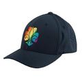 Regnbuecaps NSF Caps Flexfit Rainbow Navy