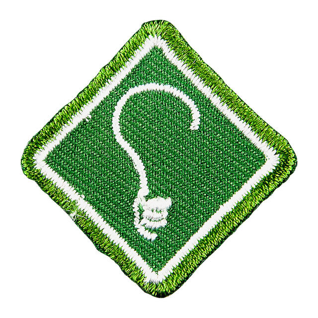 Programmerke Kreativitet NSF Programmerke Kreativitet Vandrer