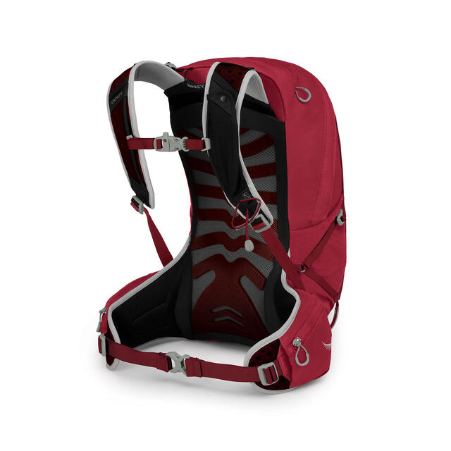 Dagstursekk til herre Osprey Talon 22 liter L/XL 299