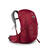 Dagstursekk til herre Osprey Talon 22 liter L/XL 299 