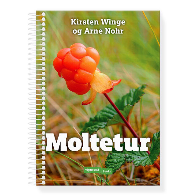 Moltetur Vigmostad Bjørke Moltetur