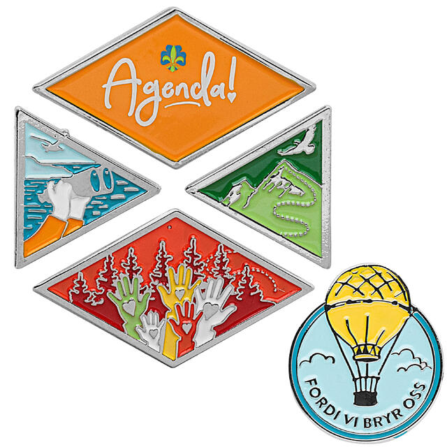 Alle pins NSF Agenda Pins 5 pk.