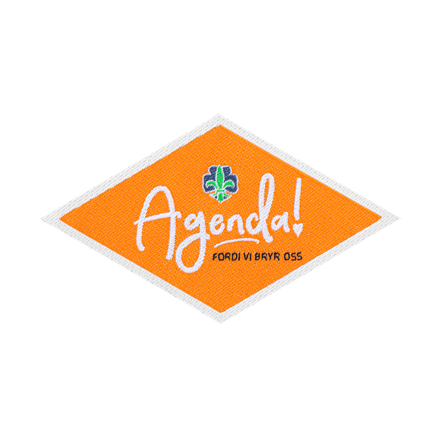 Landsleir 2021: Leirmerke NSF Agenda Leirmerke