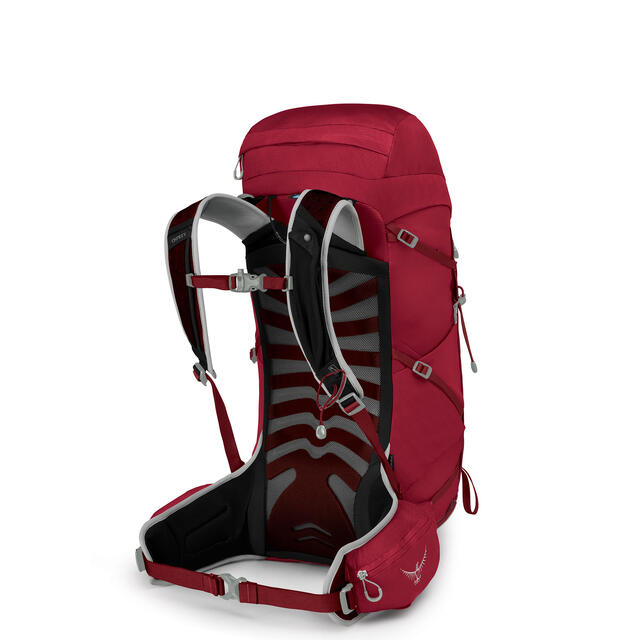 Dagstursekk til herre Osprey Talon 33 liter L/XL 299