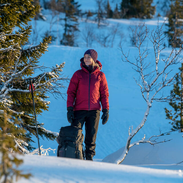 Kort skallbukse til dame S Bergans Breheimen 2L Pant Short W S 2851
