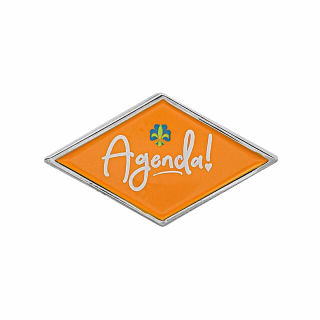 Landsleir 2021: Leirpins NSF Agenda Pins