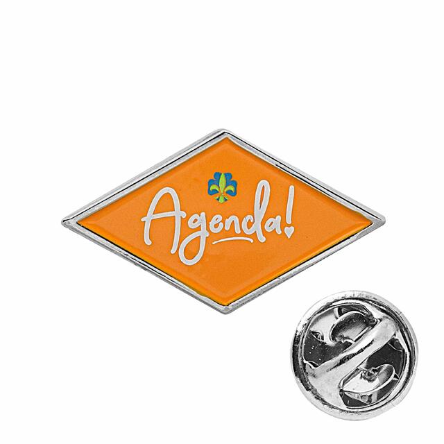 Landsleir 2021: Leirpins NSF Agenda Pins