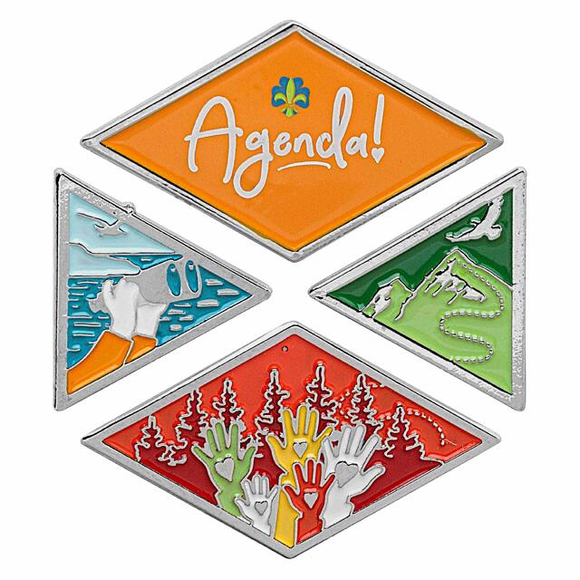 Landsleir 2021: Leirpins NSF Agenda Pins