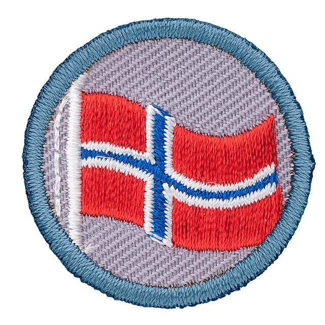 Flagg NSF Fordypning Flagg Tropp 