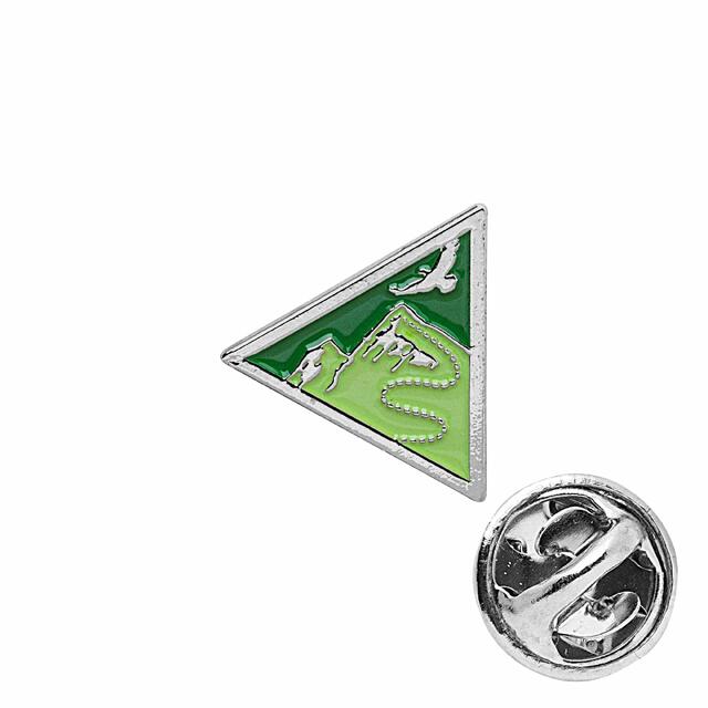 Landsleir 2021: Pins NSF Agenda Pins Oppleve