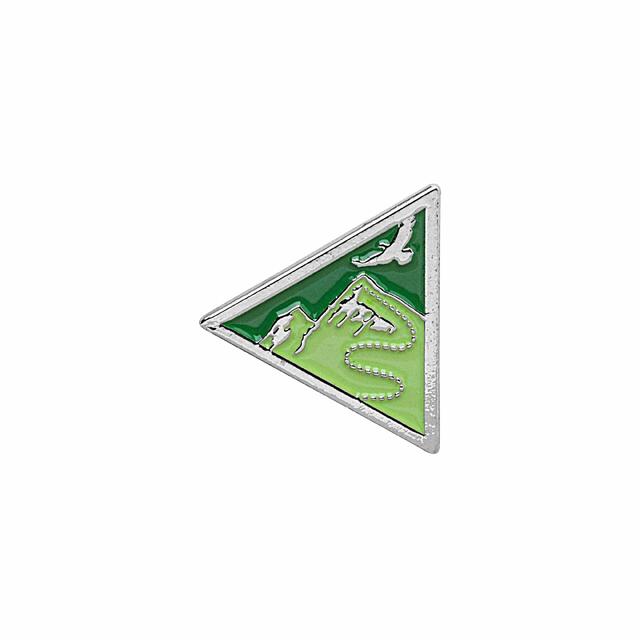 Landsleir 2021: Pins NSF Agenda Pins Oppleve