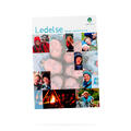 Ledelse NSF Ledelse