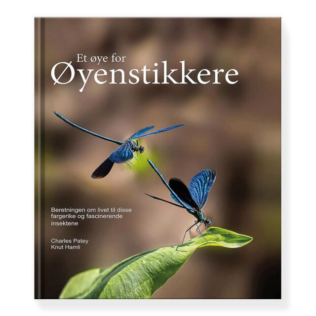 Et øye for Øyenstikkere Libelle forlag Et øye for Øyenstikkere