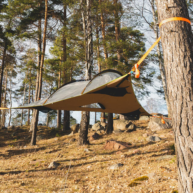 Kraftig tretelt til 3 Tentsile Safari Stingray