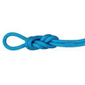 Klatretau 40 m Mammut Gym Workhorse Classic 9,9 40 1128