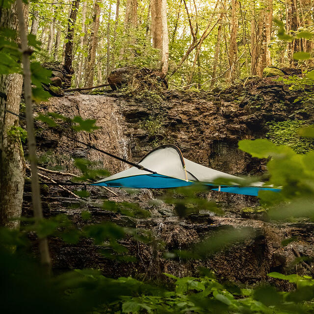 Lett tretelt til 1 Tentsile Una ForestGreen