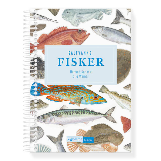 Saltvannsfisker Vigmostad Bjørke Saltvannsfisker