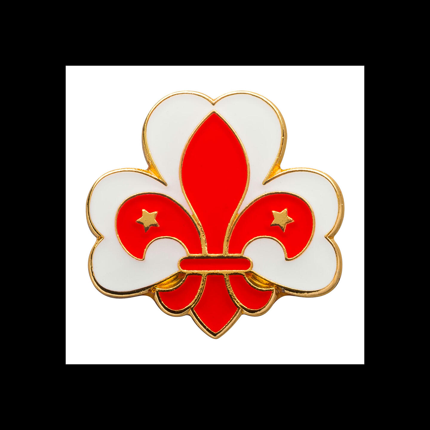 Pins SGGN Pins - st - st - st - st - st - st - st