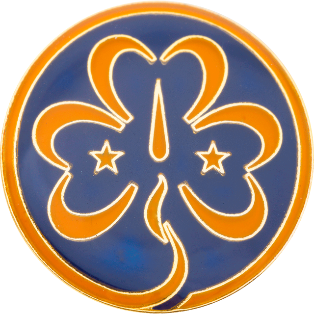 Pins WAGGGS Pins