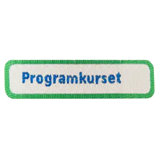 Programkurset NSF Programkurset