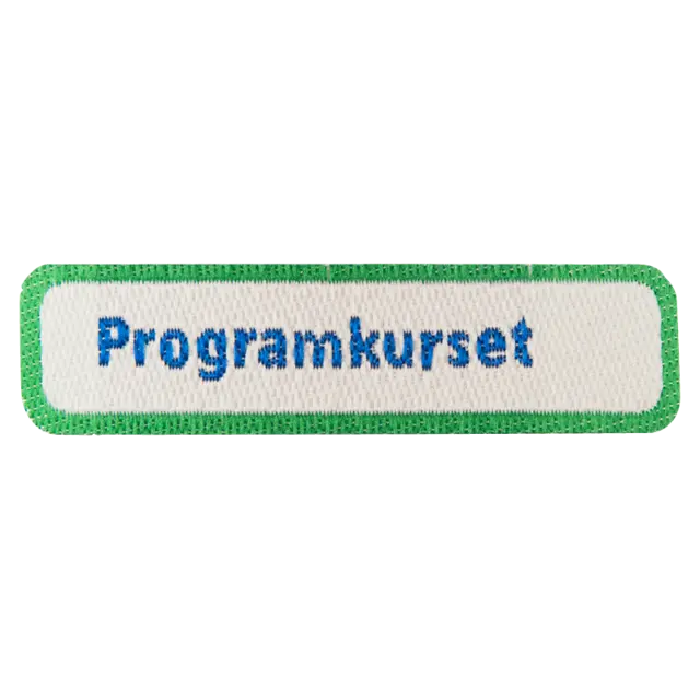 Programkurset NSF Programkurset 