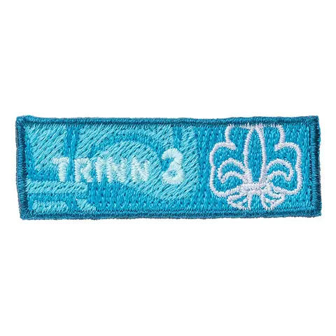 Trinn 3 NSF Trinn 3