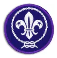 Verdensmerke WOSM Verdensmerke &#216; 7 cm
