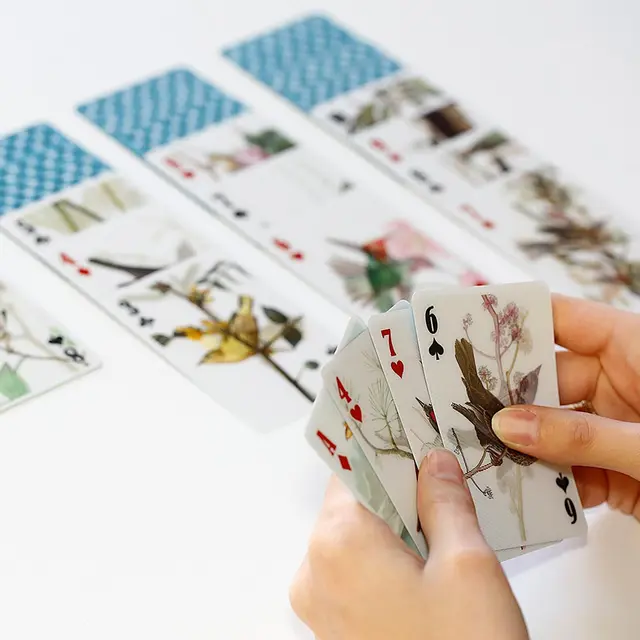 Kortstokk med fugler i 3D Kikkerland 3D Bird Playing Cards 
