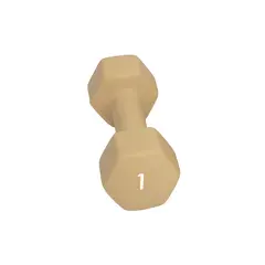 Vekt 1 kg Abilica Dumbell 1 kg