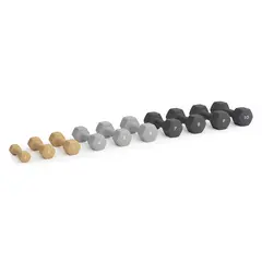 Vekt 8 kg Abilica Dumbell 8 kg