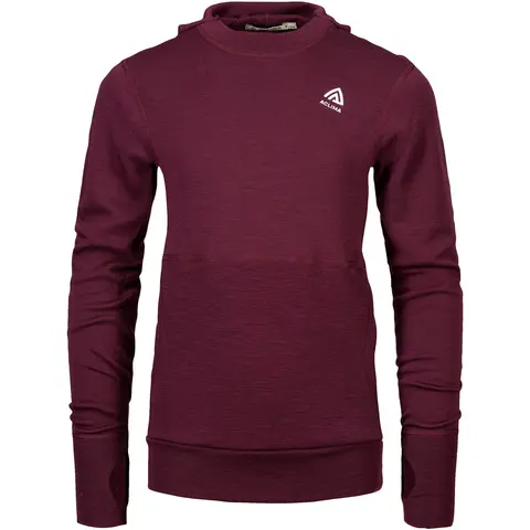 Trøye til barn Aclima Warmwool Hood Jr 464