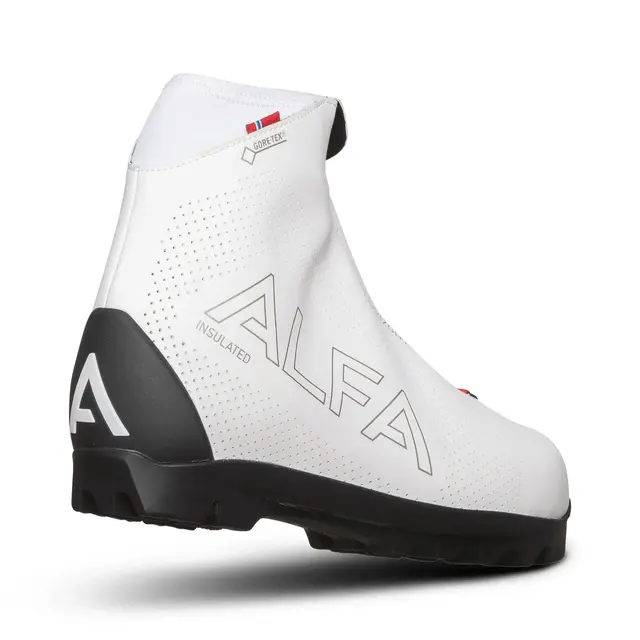 Skisko til dame 38 Alfa Horizon APS GTX W 38 5600 