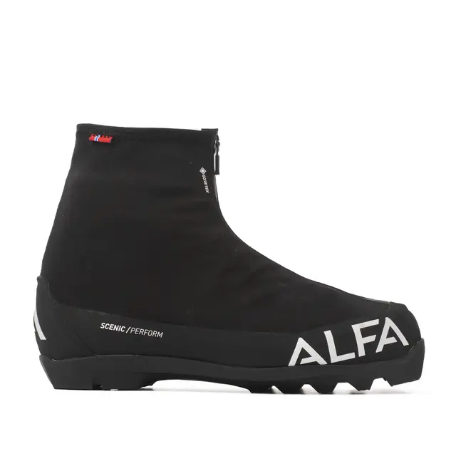 Skisko til dame 39 Alfa Scenic Perform GTX W 39 1100 