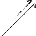 Vandrestaver Black Diamond Trail Trekking Poles 3060