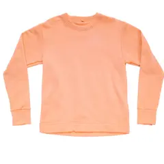 Genser til junior 12 år Devold Everyday Crew Jr 12 102