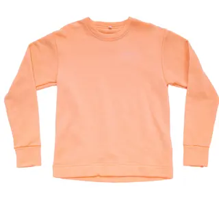 Genser til junior Devold Everyday Crew Jr 102