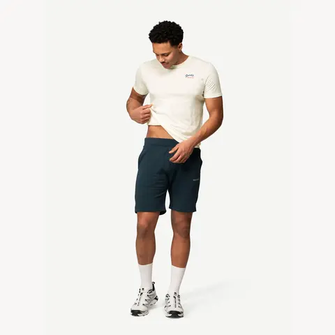 Shorts til herre Devold Everyday Shorts M 284