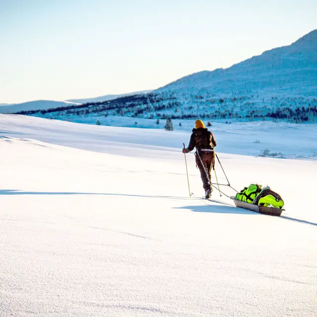 Pulk 155 cm Fjellpulken Transporter 155 Black 