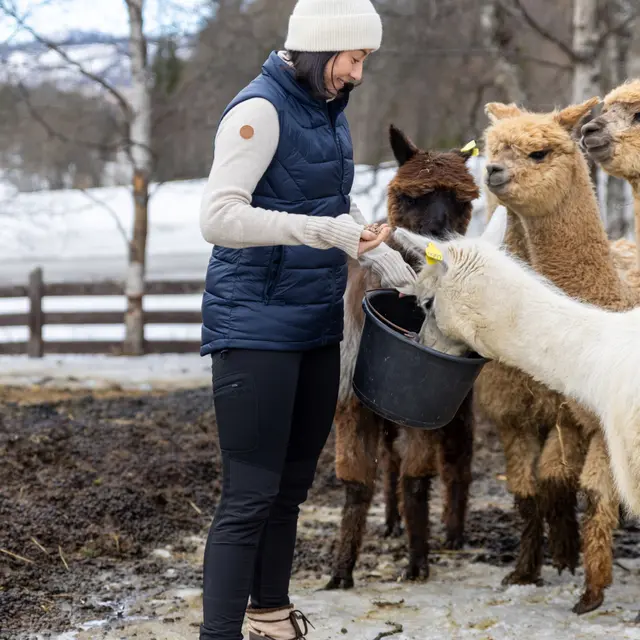 Tights til dame S Tufte Maple Warm Tights W S 001 