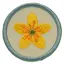 Blomster KM Aktivitet Blomster Familie