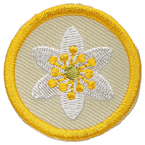 Blomster KM Aktivitet Blomster Oppdager