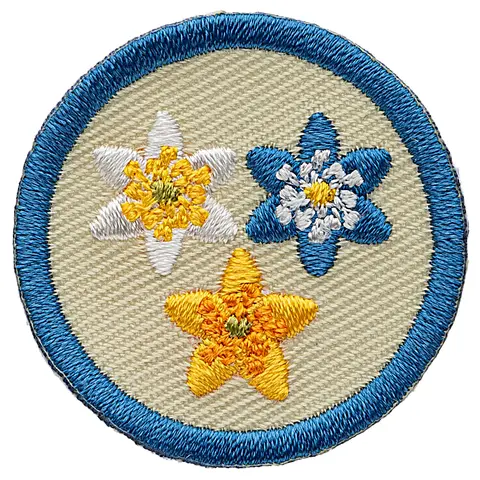 Blomster KM Aktivitet Blomster Vandrer