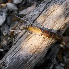 Grillgaffel 2 pk. Light My Fire Firefork BIO Blue/Yellow