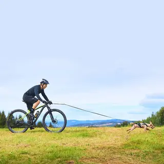 Sykkelantenne til hund Non-stop Bike Antenna